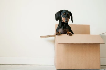A guide to moving home